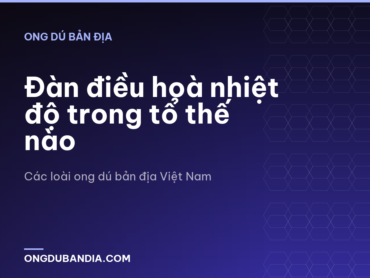 Đàn điều hoà nhiệt độ trong tổ thế nào