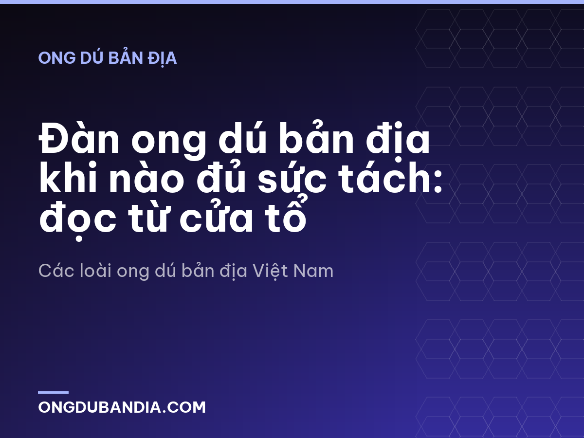 Đàn ong dú bản địa khi nào đủ sức tách: đọc từ cửa tổ