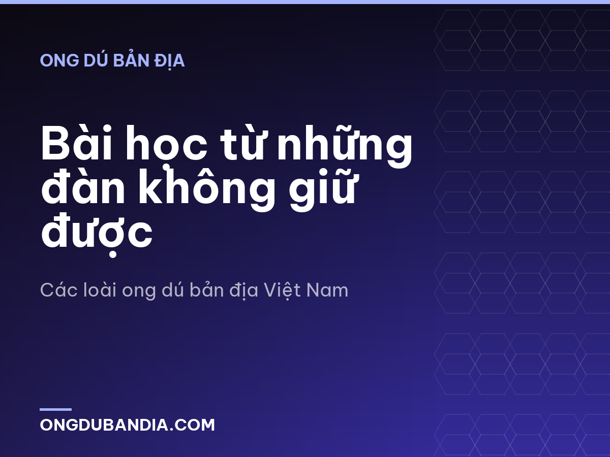 Bài học từ những đàn không giữ được