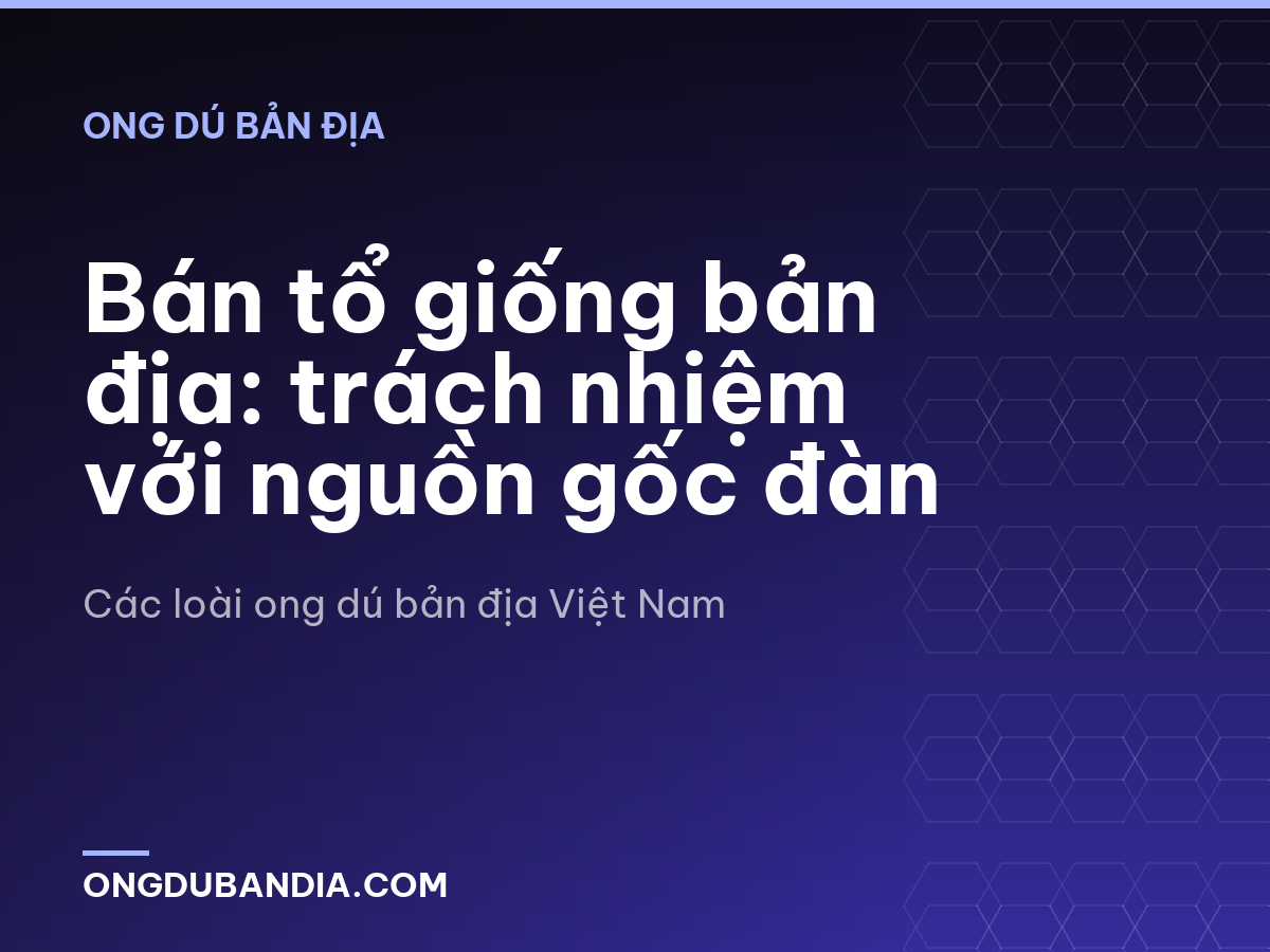 Bán tổ giống bản địa: trách nhiệm với nguồn gốc đàn
