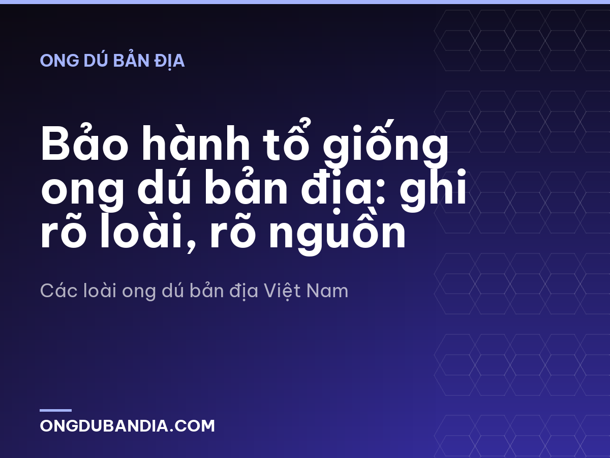 Bảo hành tổ giống ong dú bản địa: ghi rõ loài, rõ nguồn