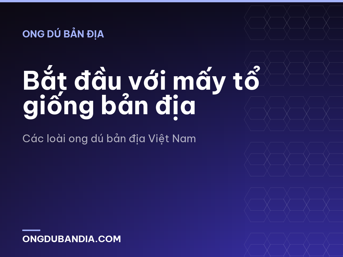 Bắt đầu với mấy tổ giống bản địa