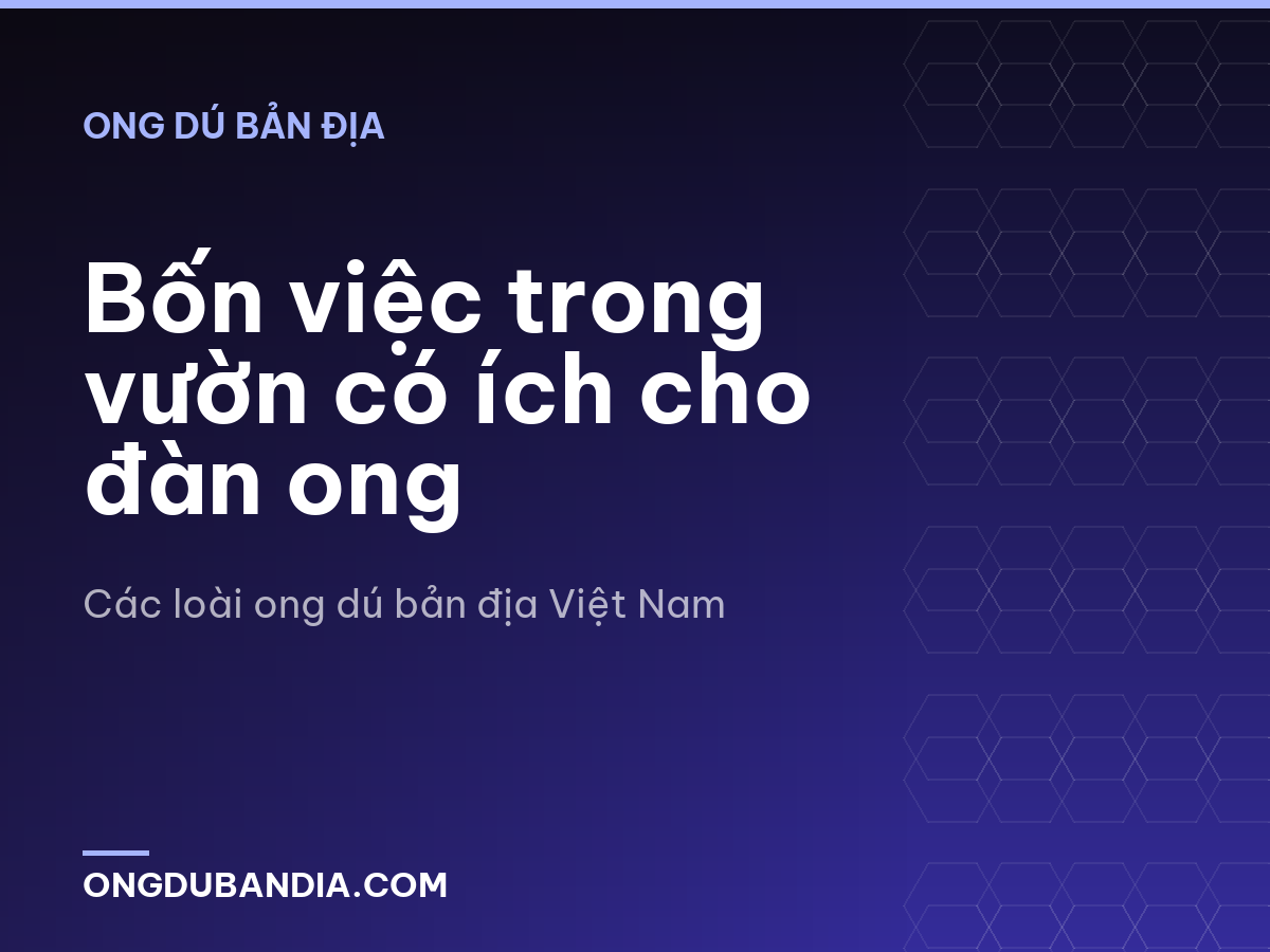 Bốn việc trong vườn có ích cho đàn ong