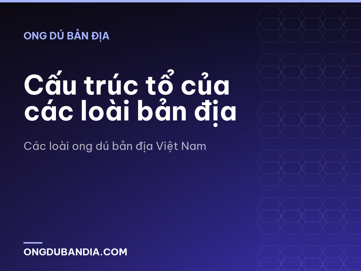 Cấu trúc tổ của các loài bản địa