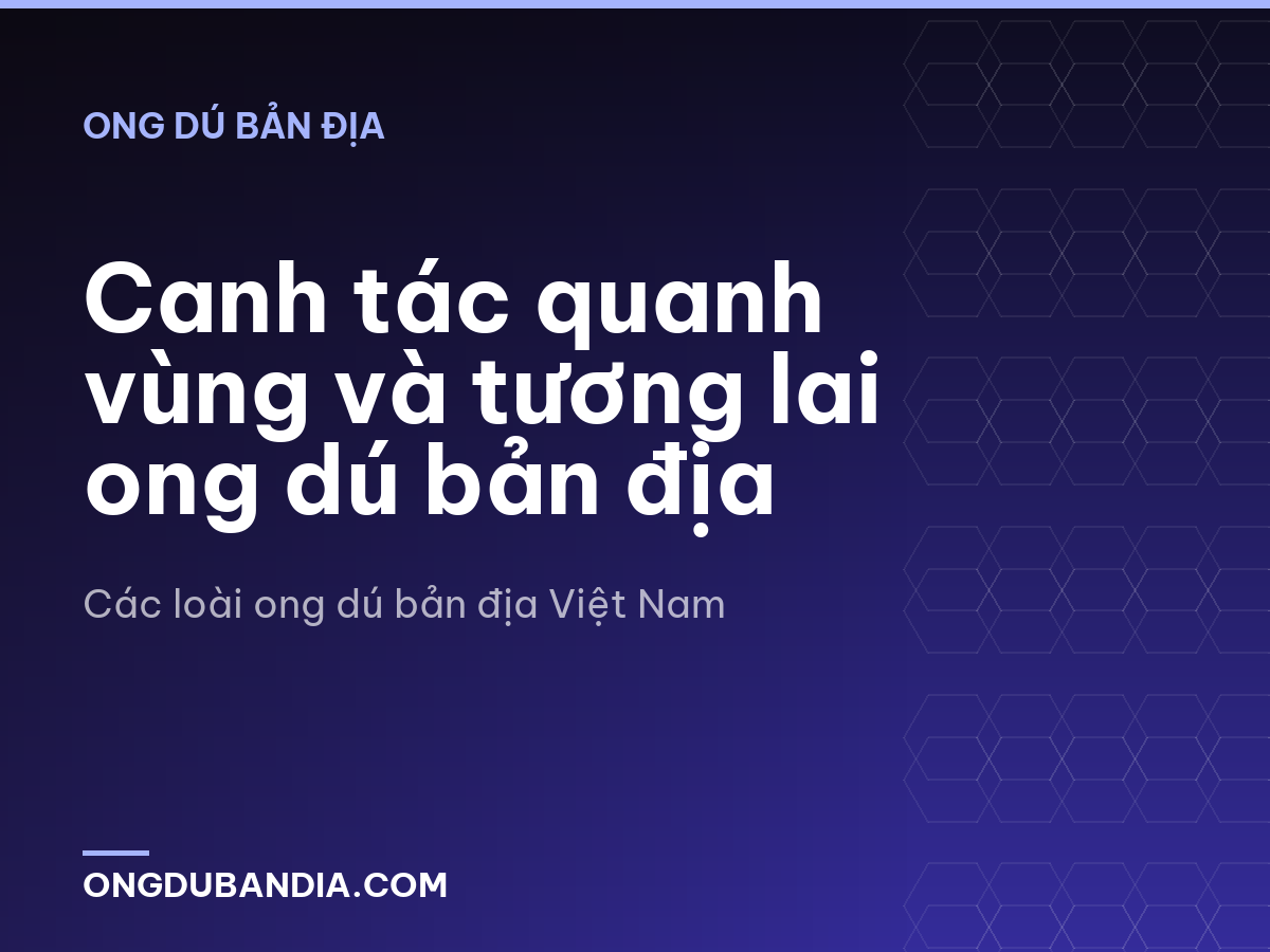 Canh tác quanh vùng và tương lai ong dú bản địa