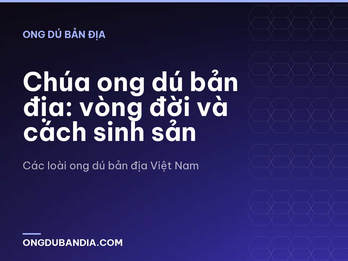 Chúa ong dú bản địa: vòng đời và cách sinh sản