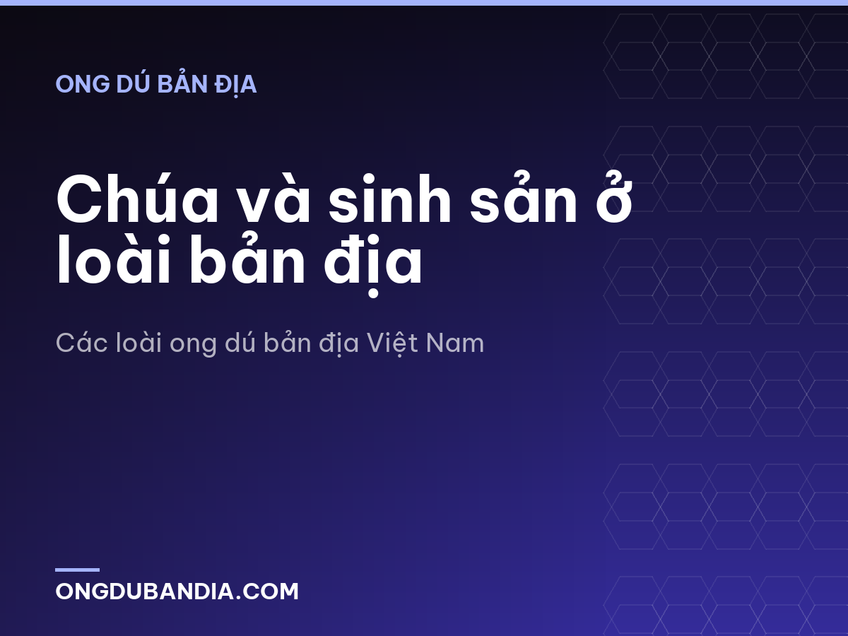 Chúa và sinh sản ở loài bản địa