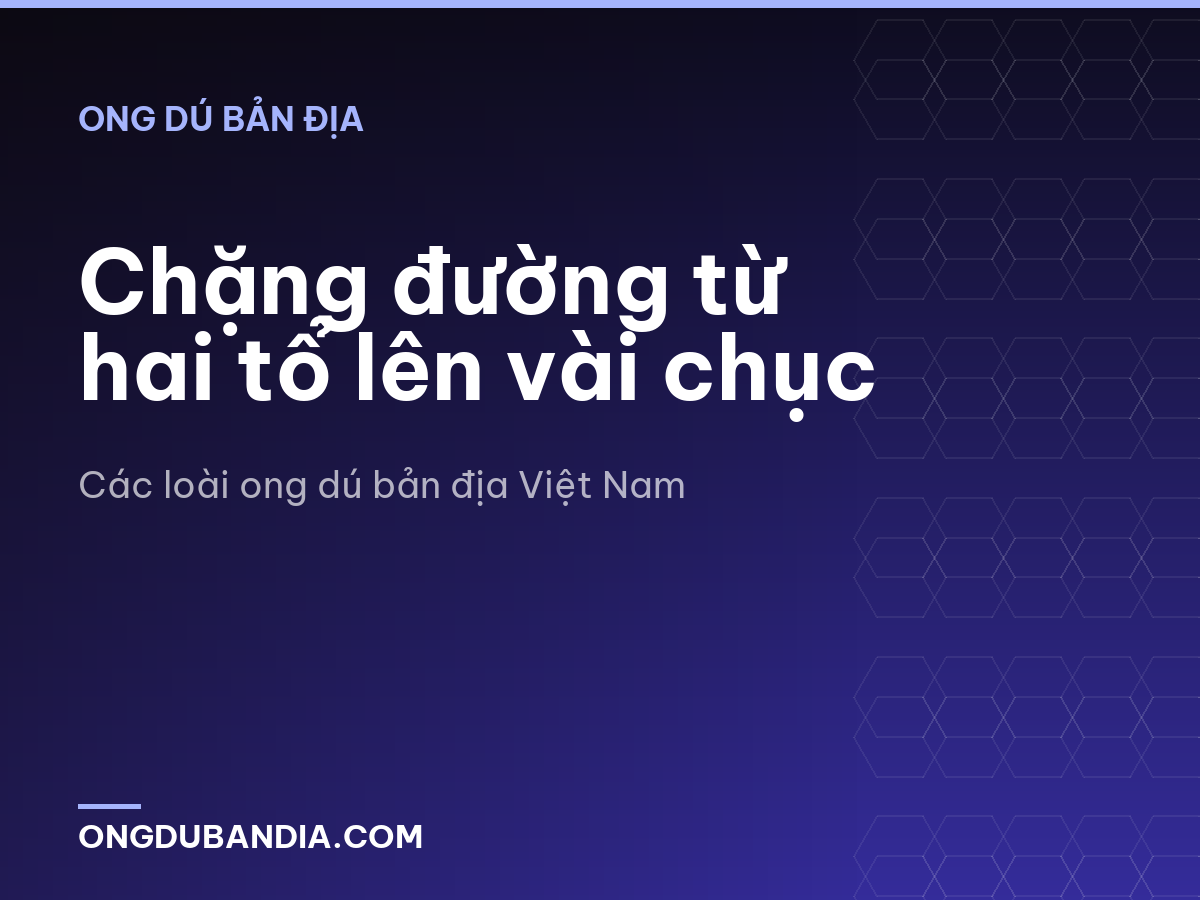 Chặng đường từ hai tổ lên vài chục