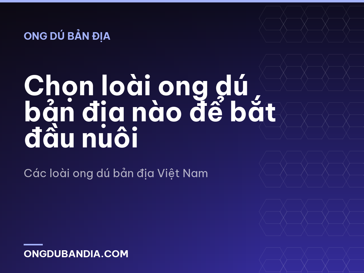 Chọn loài ong dú bản địa nào để bắt đầu nuôi