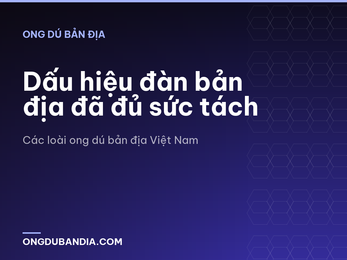 Dấu hiệu đàn bản địa đã đủ sức tách