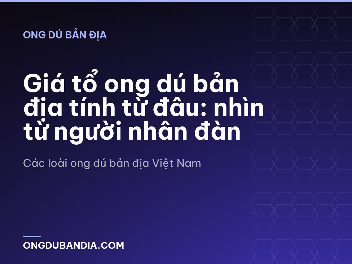 Giá tổ ong dú bản địa tính từ đâu: nhìn từ người nhân đàn