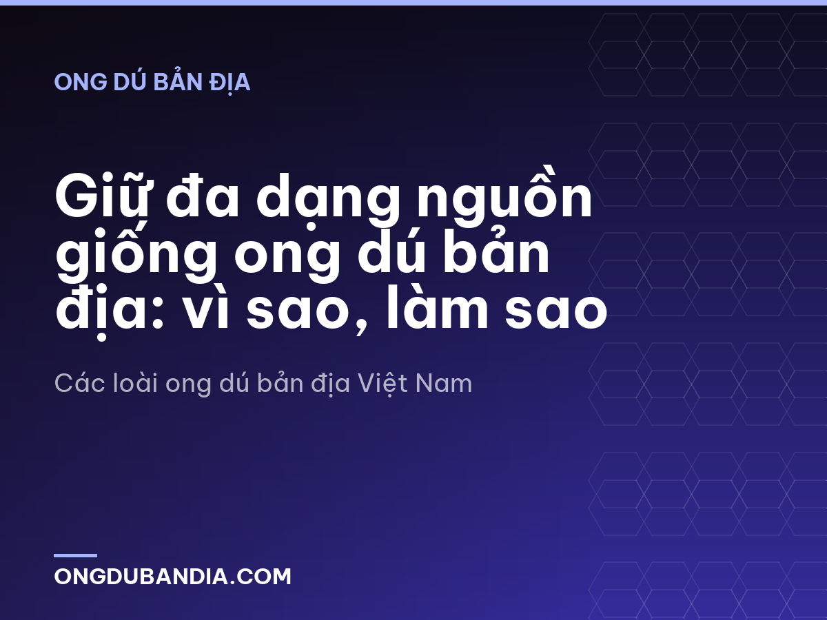 Giữ đa dạng nguồn giống ong dú bản địa: vì sao, làm sao
