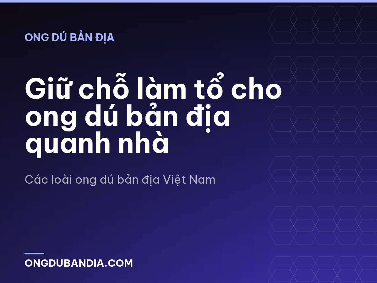 Giữ chỗ làm tổ cho ong dú bản địa quanh nhà