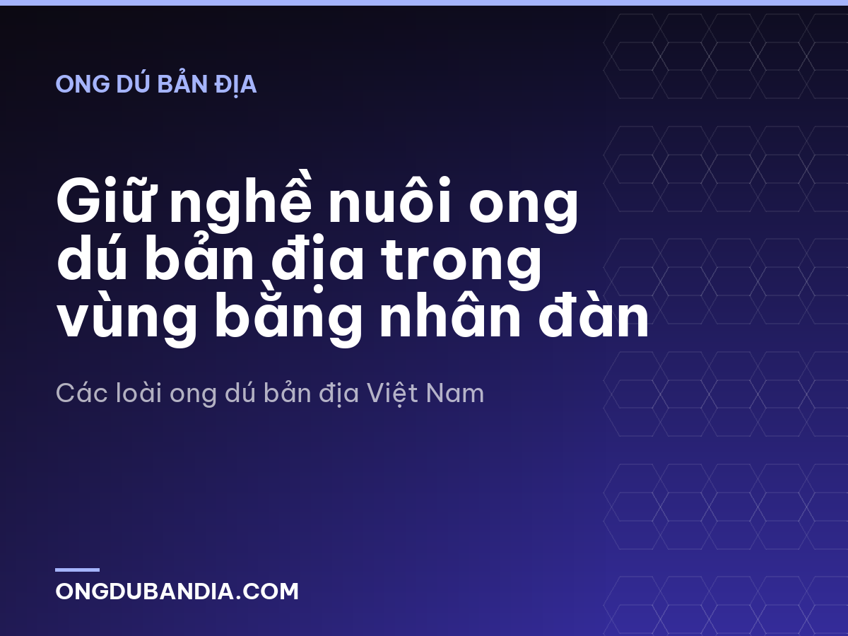 Giữ nghề nuôi ong dú bản địa trong vùng bằng nhân đàn