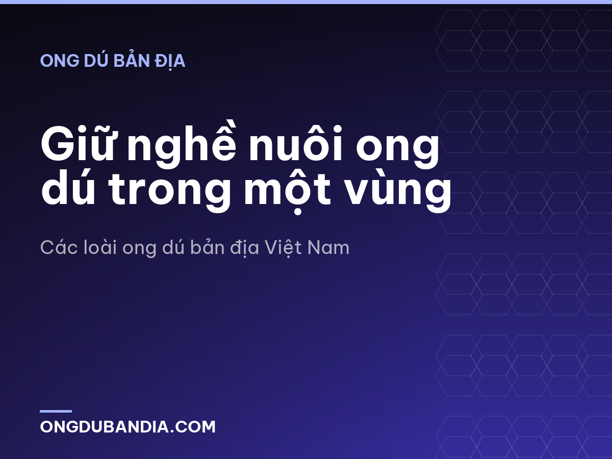 Giữ nghề nuôi ong dú trong một vùng