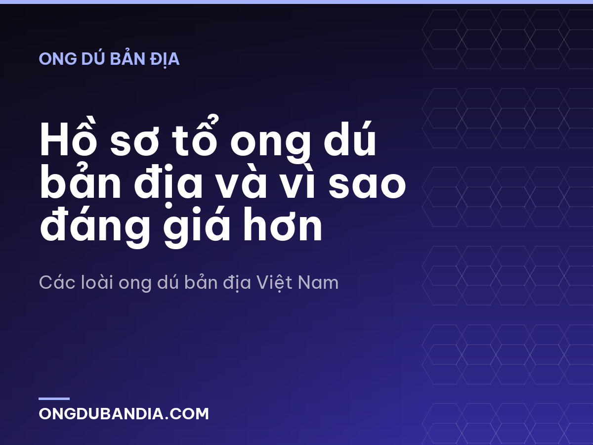 Hồ sơ tổ ong dú bản địa và vì sao đáng giá hơn