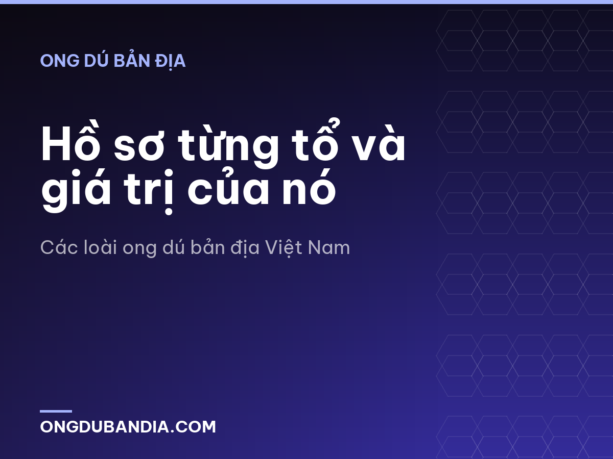 Hồ sơ từng tổ và giá trị của nó
