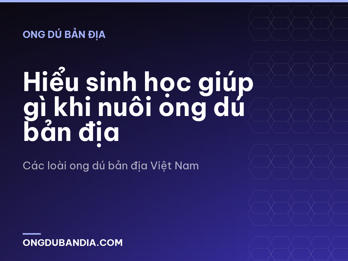 Hiểu sinh học giúp gì khi nuôi ong dú bản địa