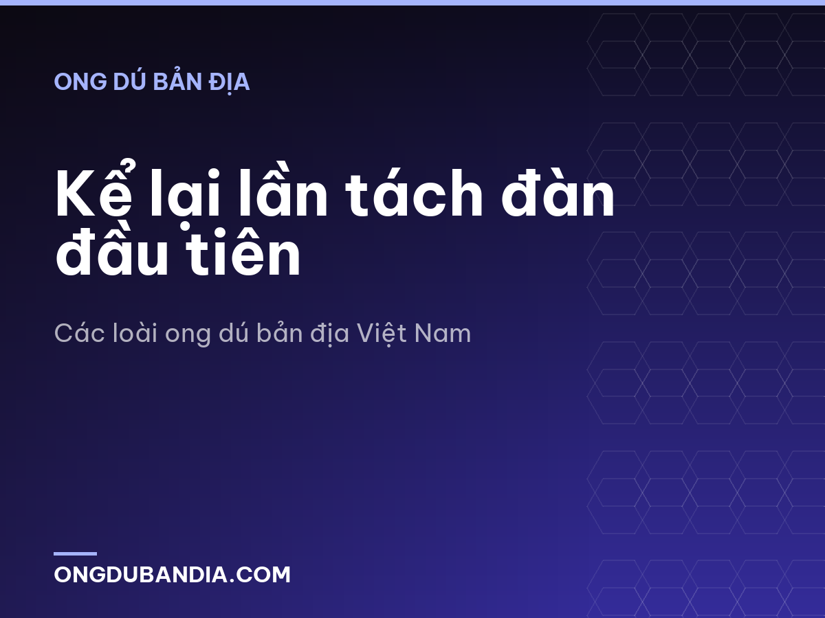 Kể lại lần tách đàn đầu tiên