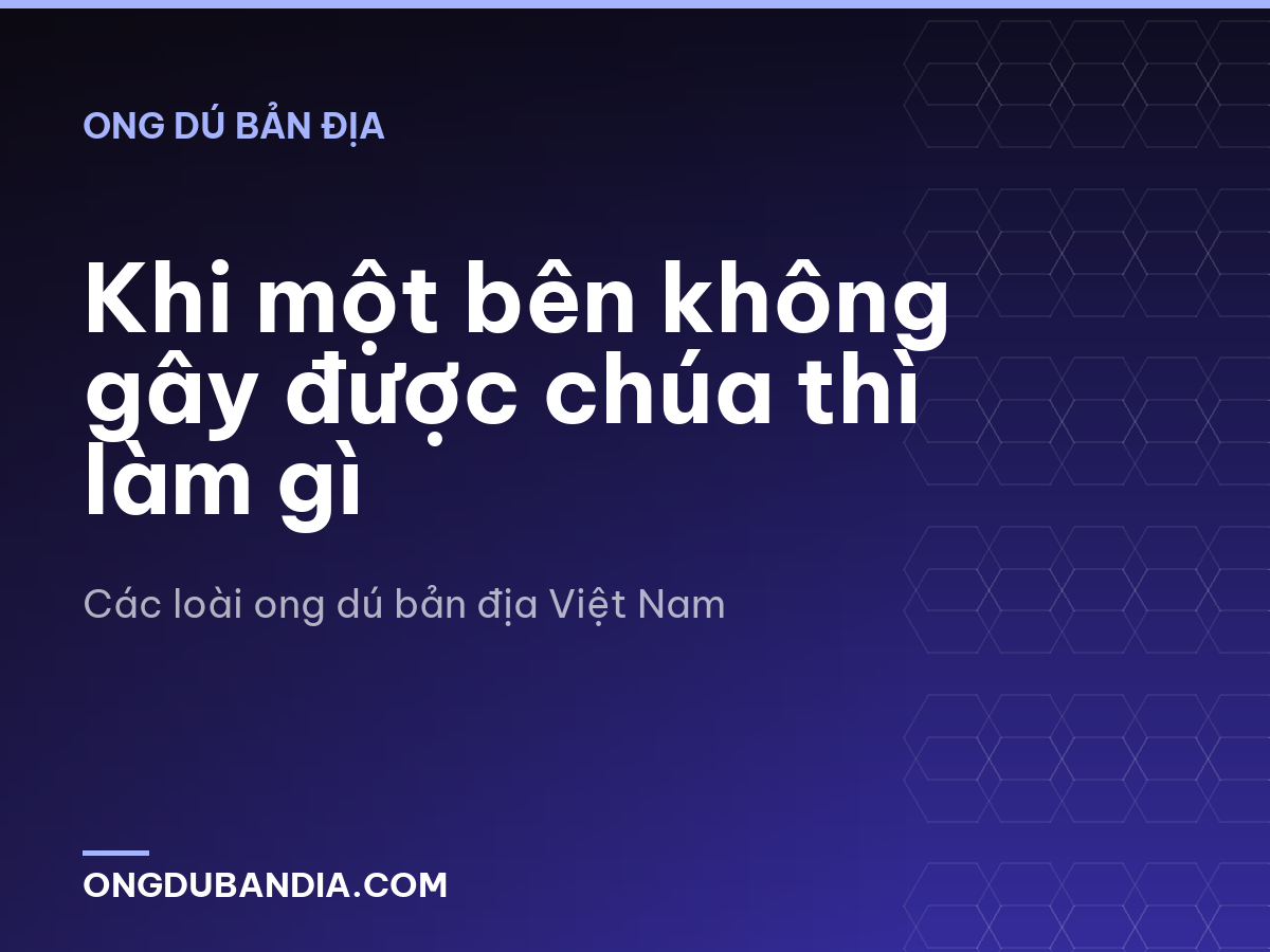Khi một bên không gây được chúa thì làm gì