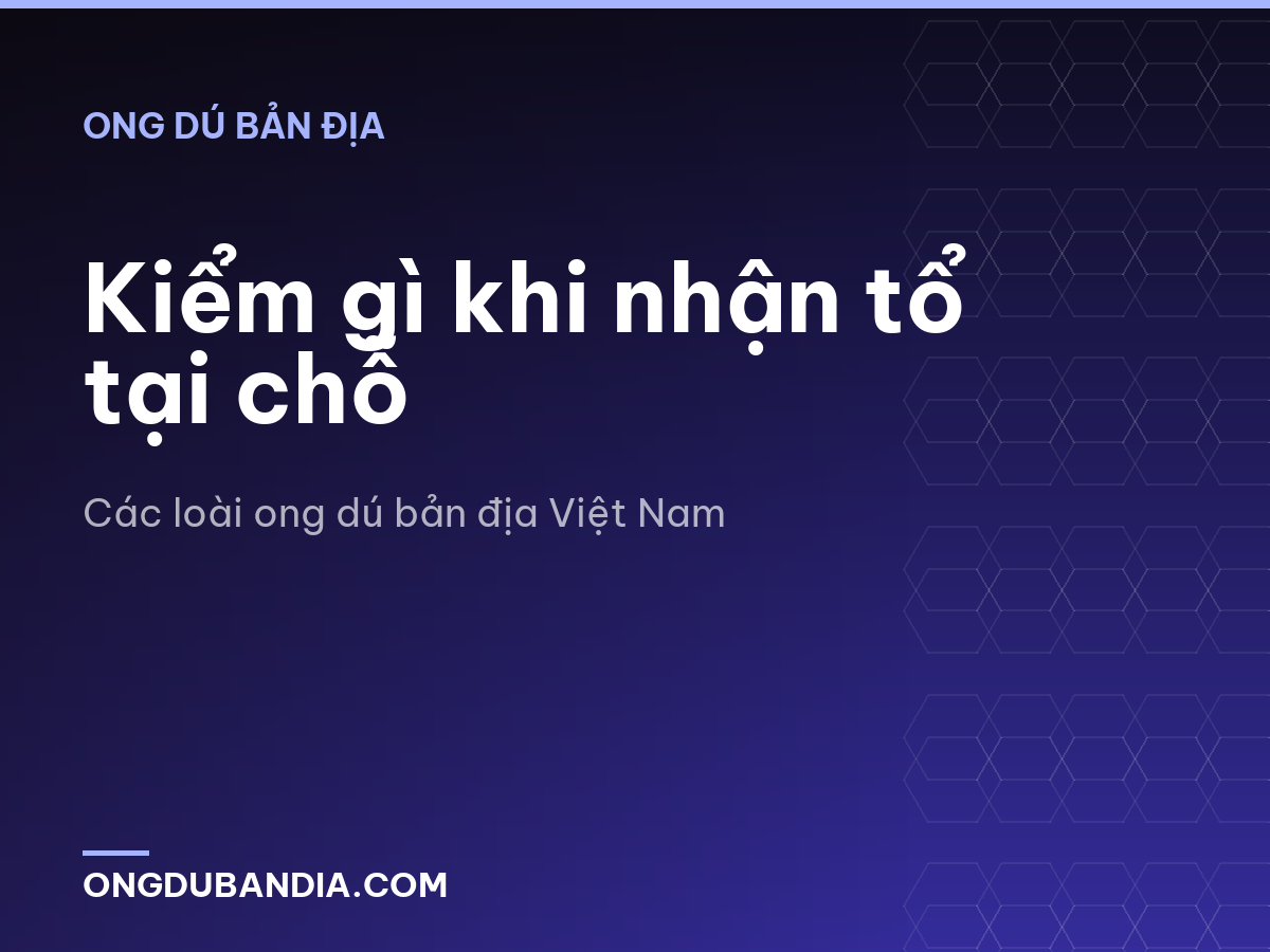 Kiểm gì khi nhận tổ tại chỗ