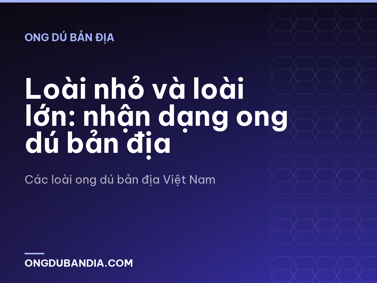 Loài nhỏ và loài lớn: nhận dạng ong dú bản địa