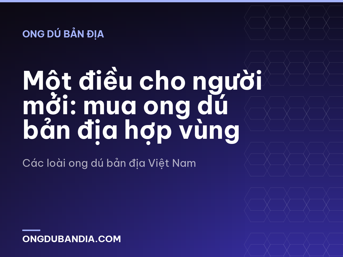 Một điều cho người mới: mua ong dú bản địa hợp vùng