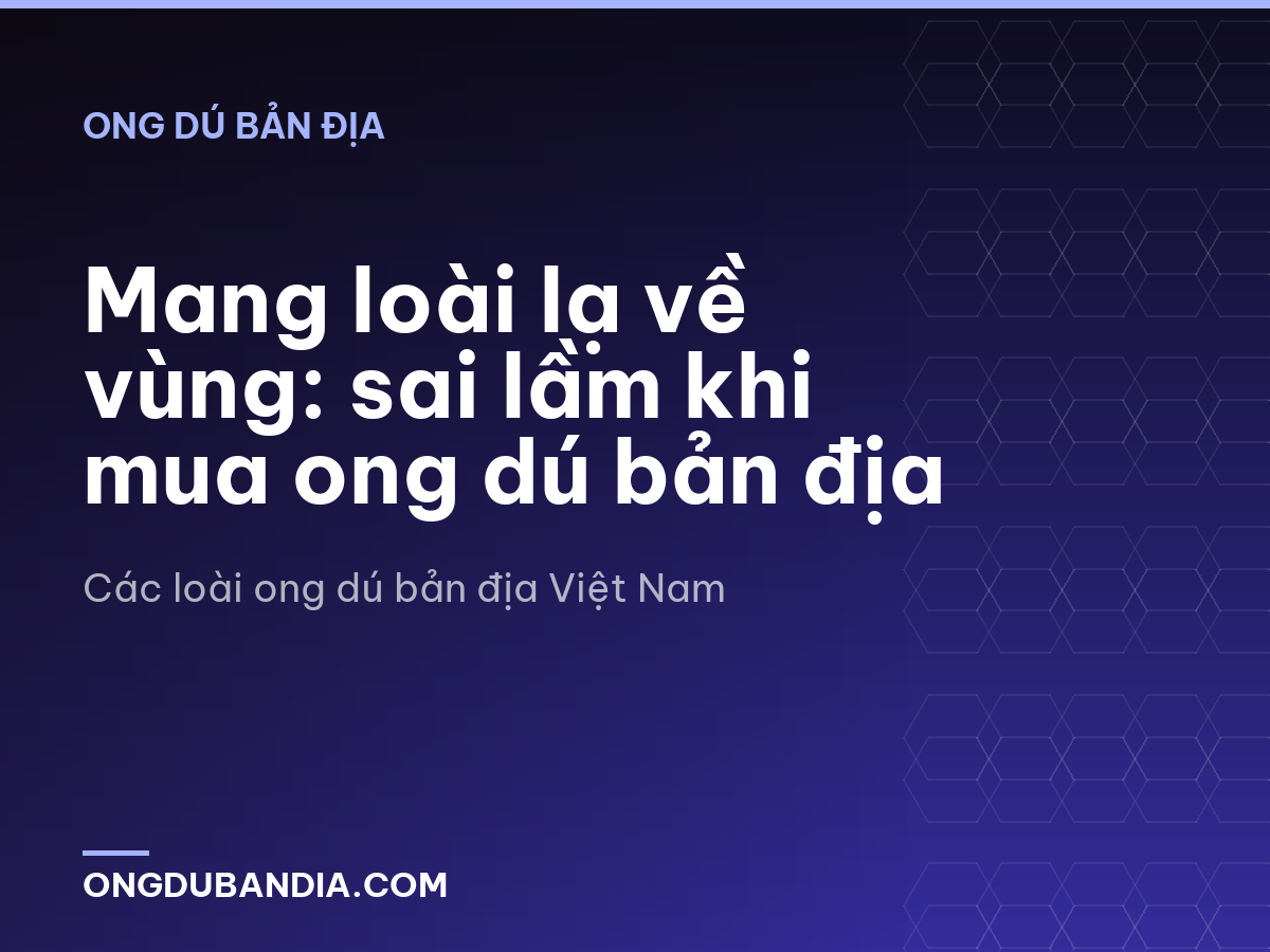 Mang loài lạ về vùng: sai lầm khi mua ong dú bản địa
