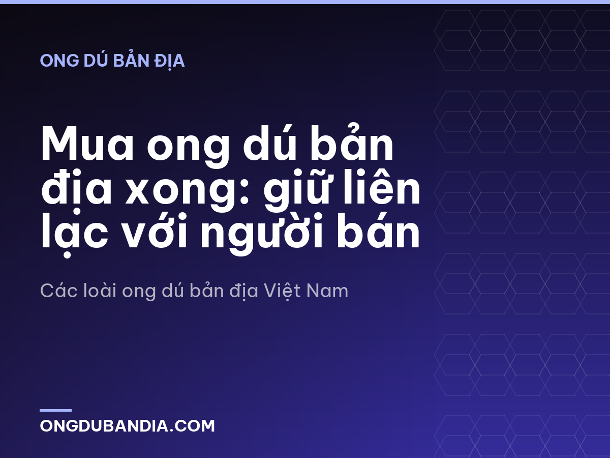 Mua ong dú bản địa xong: giữ liên lạc với người bán