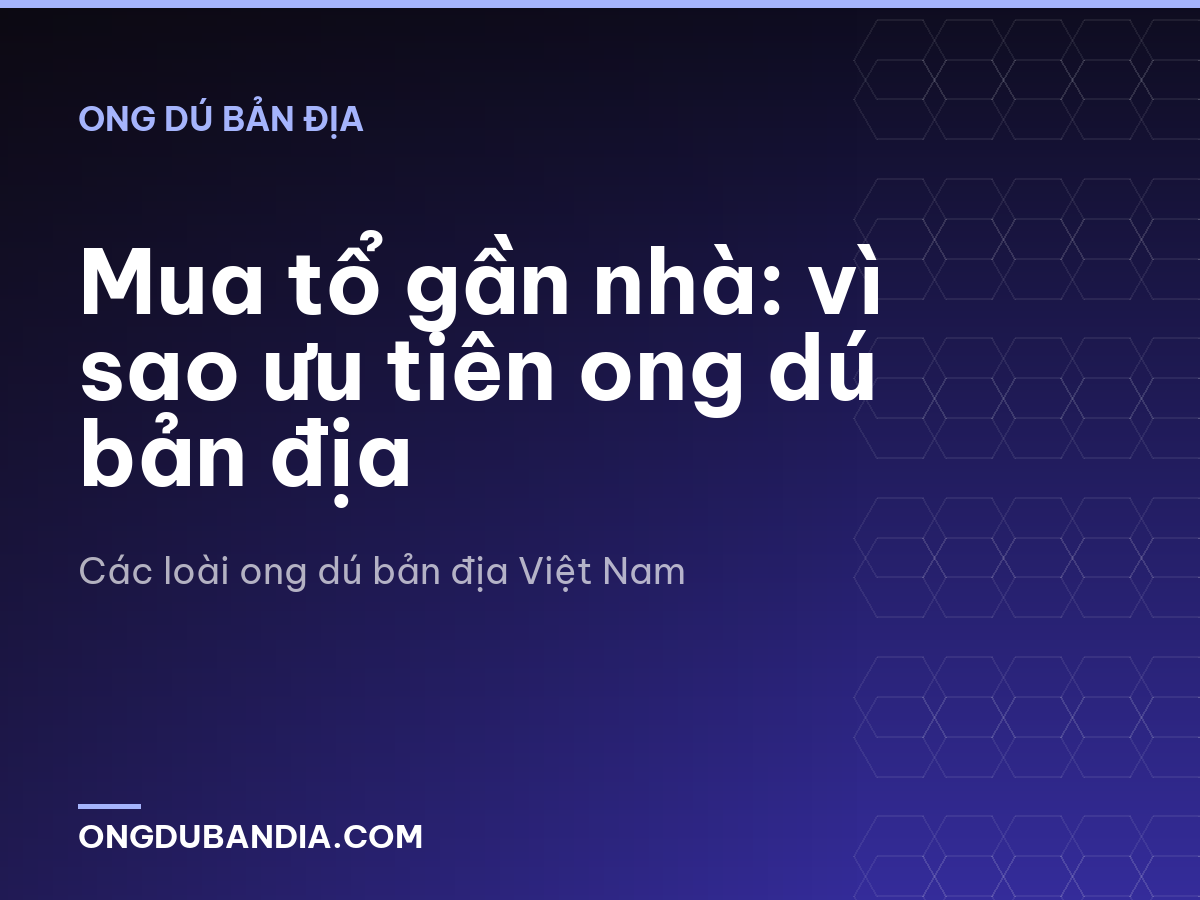Mua tổ gần nhà: vì sao ưu tiên ong dú bản địa