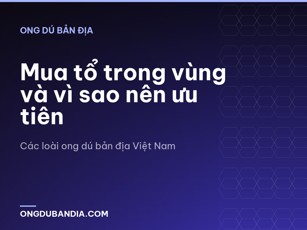 Mua tổ trong vùng và vì sao nên ưu tiên