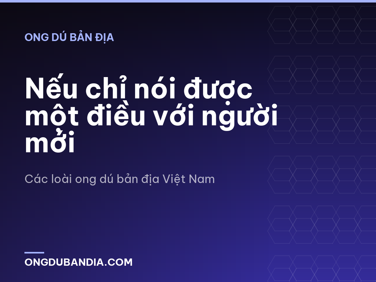 Nếu chỉ nói được một điều với người mới