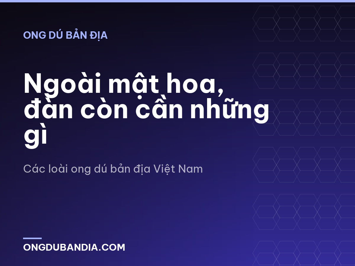 Ngoài mật hoa, đàn còn cần những gì
