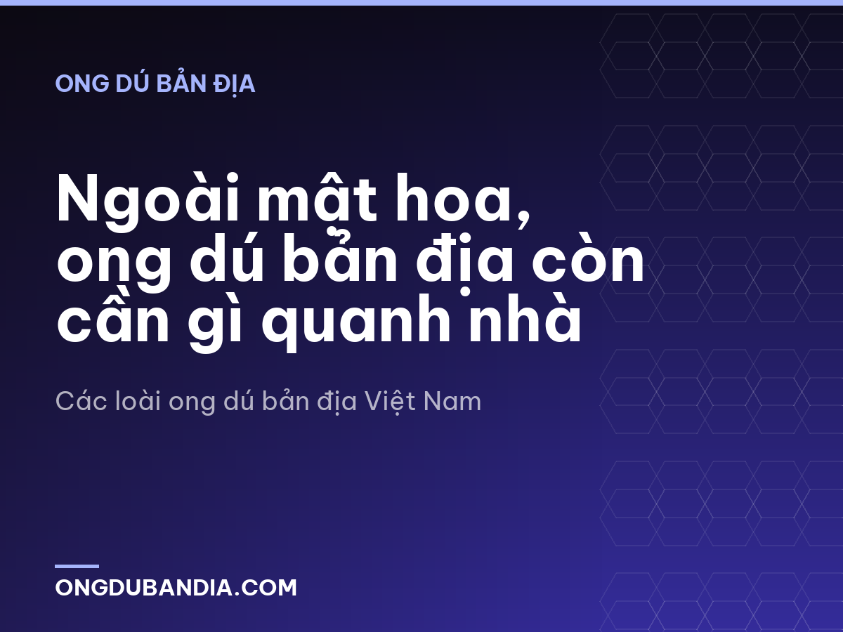 Ngoài mật hoa, ong dú bản địa còn cần gì quanh nhà