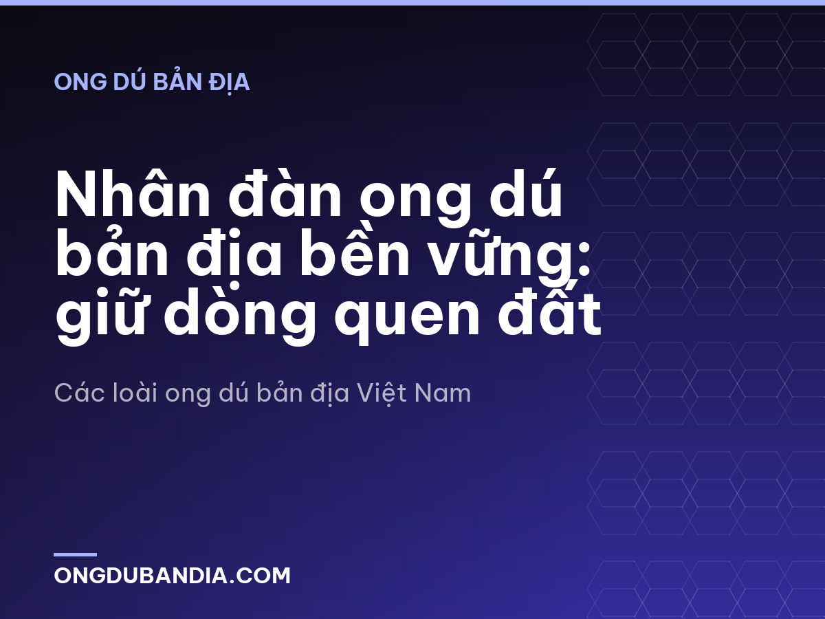 Nhân đàn ong dú bản địa bền vững: giữ dòng quen đất