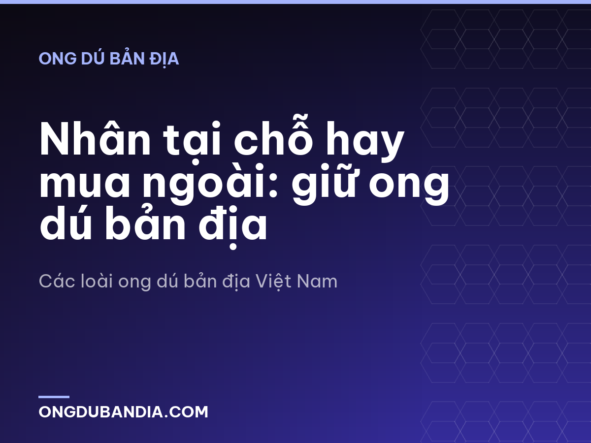 Nhân tại chỗ hay mua ngoài: giữ ong dú bản địa