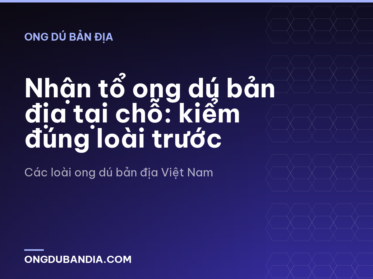 Nhận tổ ong dú bản địa tại chỗ: kiểm đúng loài trước