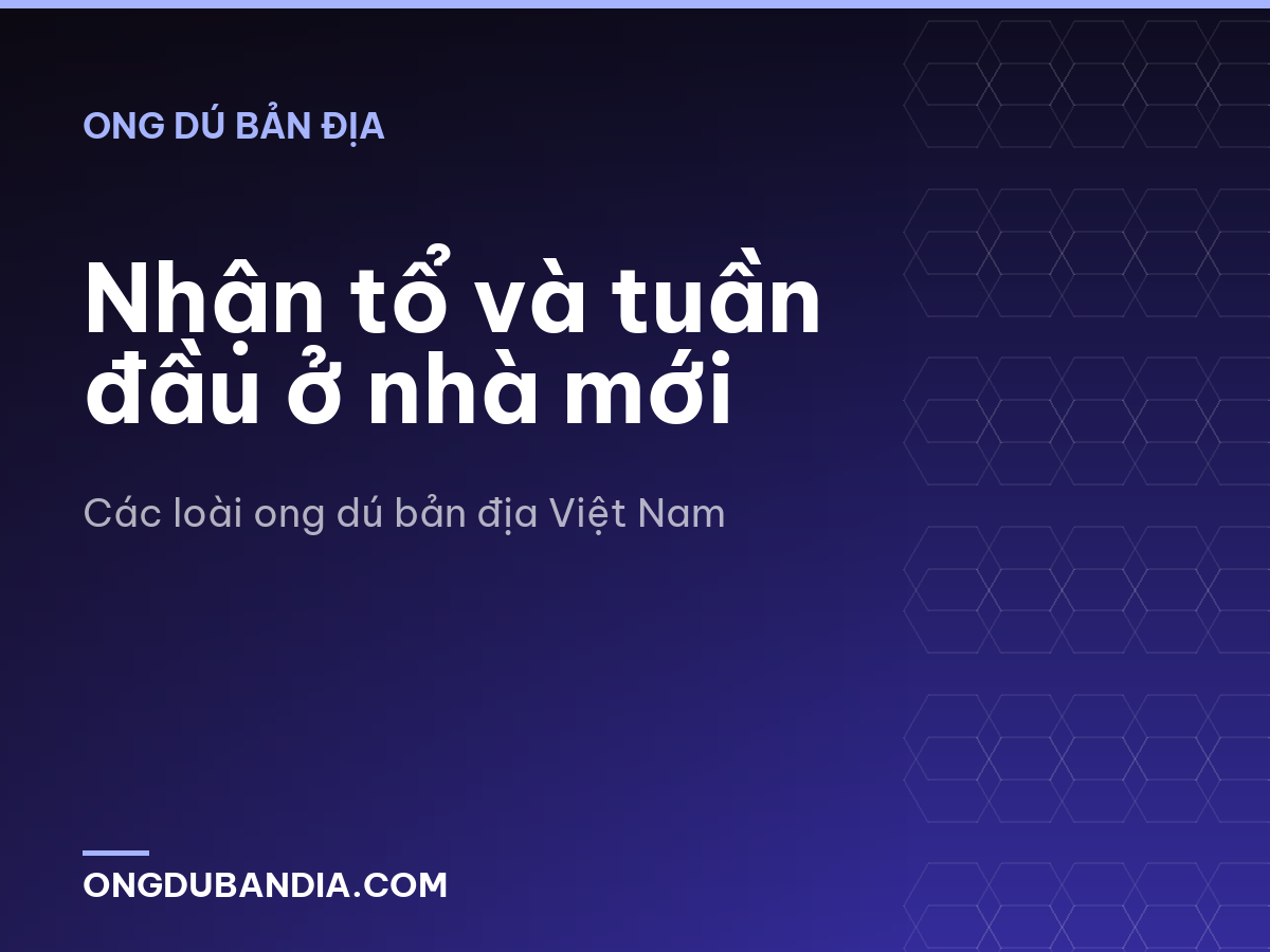 Nhận tổ và tuần đầu ở nhà mới