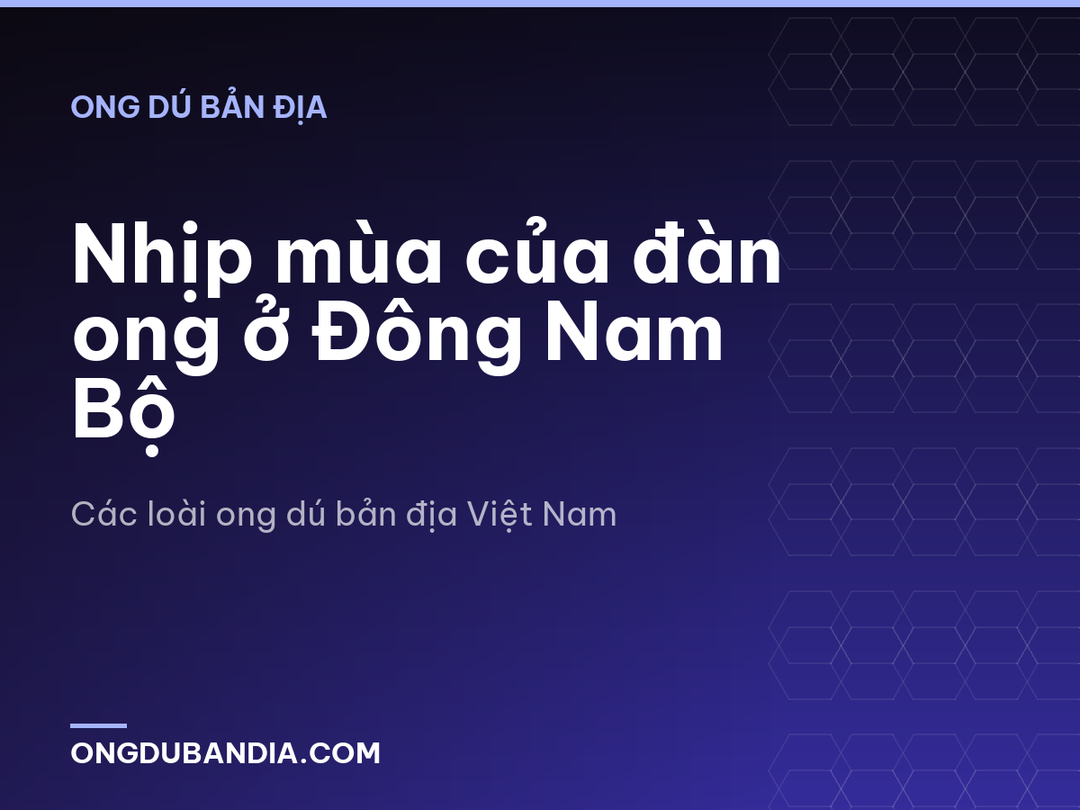 Nhịp mùa của đàn ong ở Đông Nam Bộ