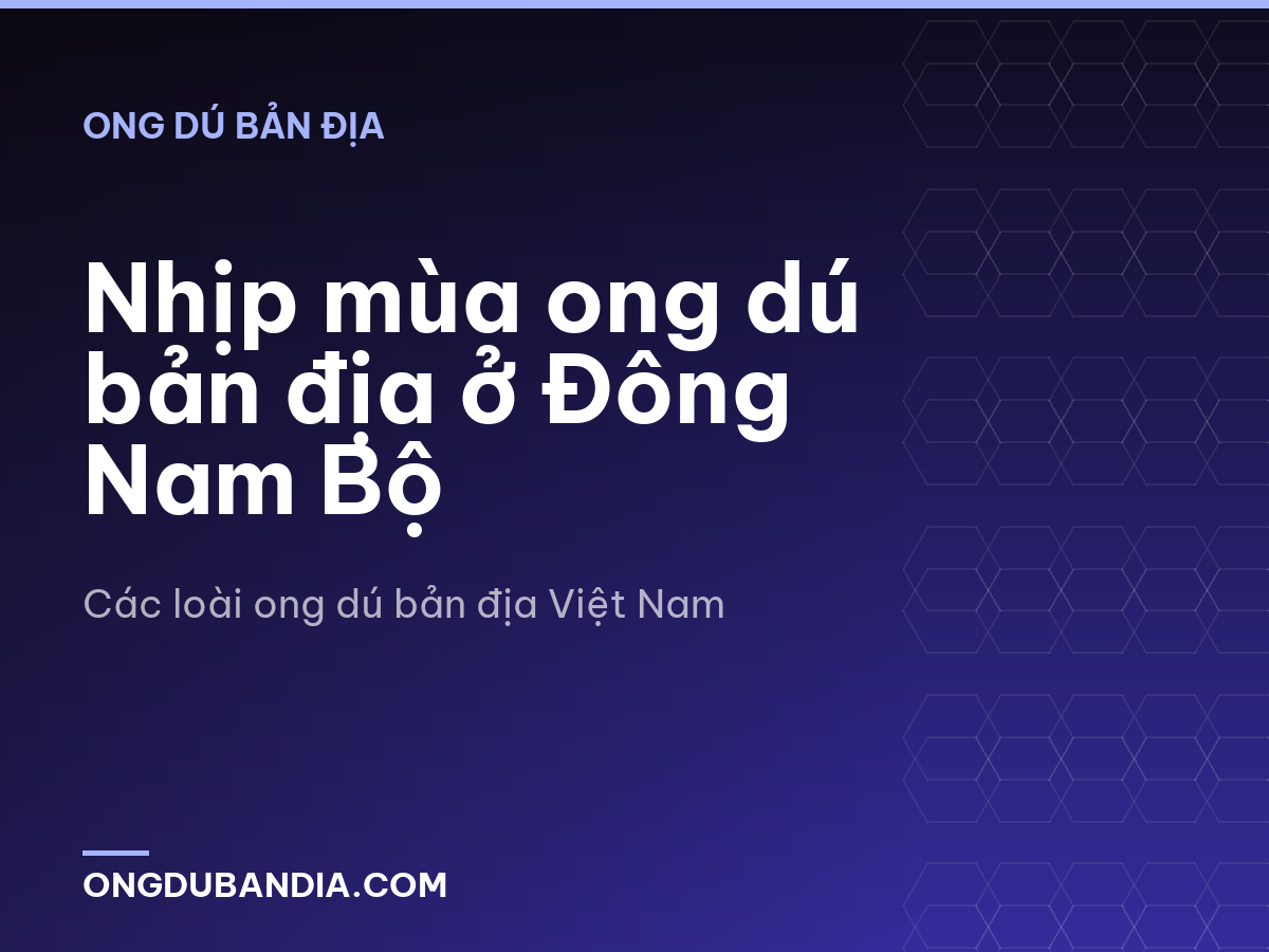 Nhịp mùa ong dú bản địa ở Đông Nam Bộ