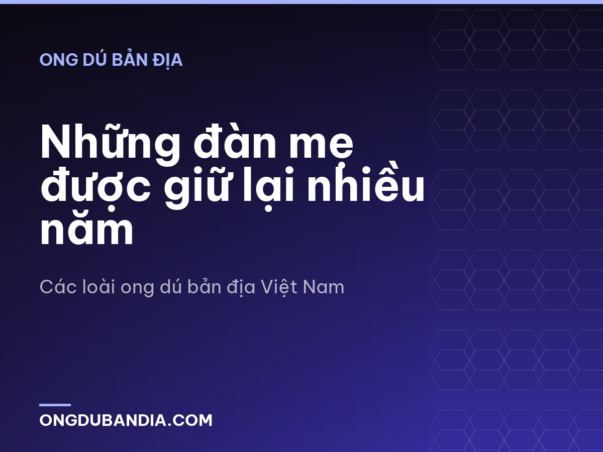 Những đàn mẹ được giữ lại nhiều năm