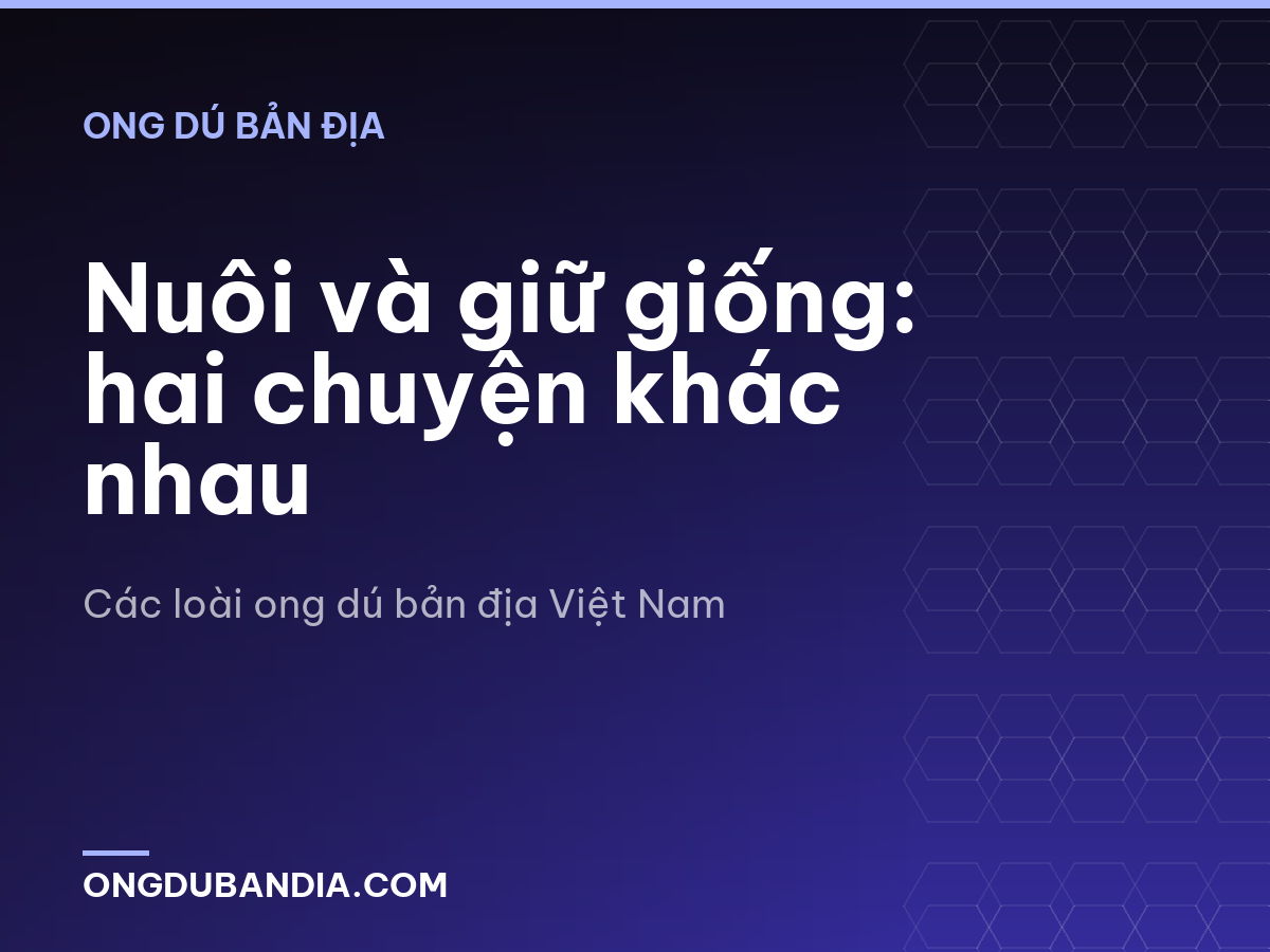 Nuôi và giữ giống: hai chuyện khác nhau