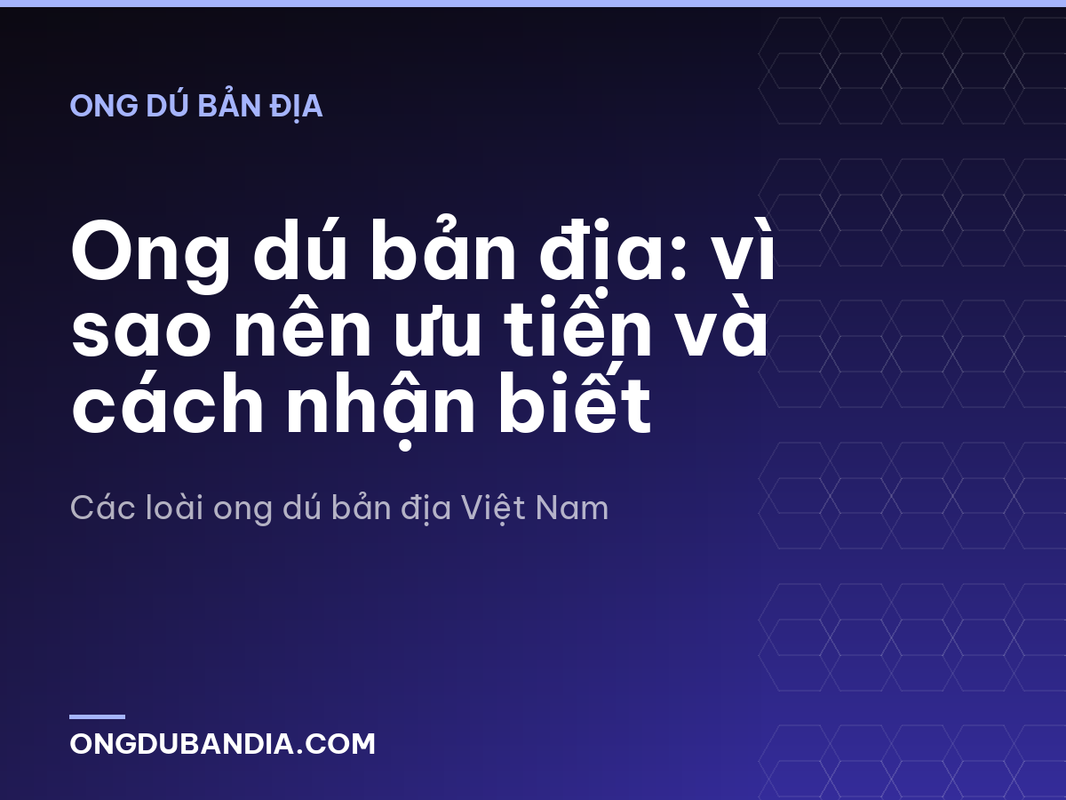 Ong dú bản địa: vì sao nên ưu tiên và cách nhận biết