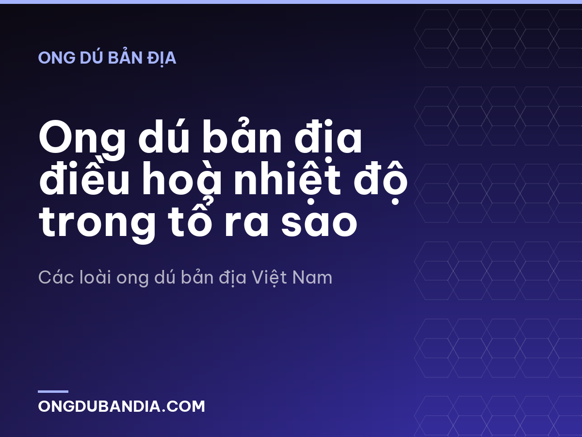 Ong dú bản địa điều hoà nhiệt độ trong tổ ra sao