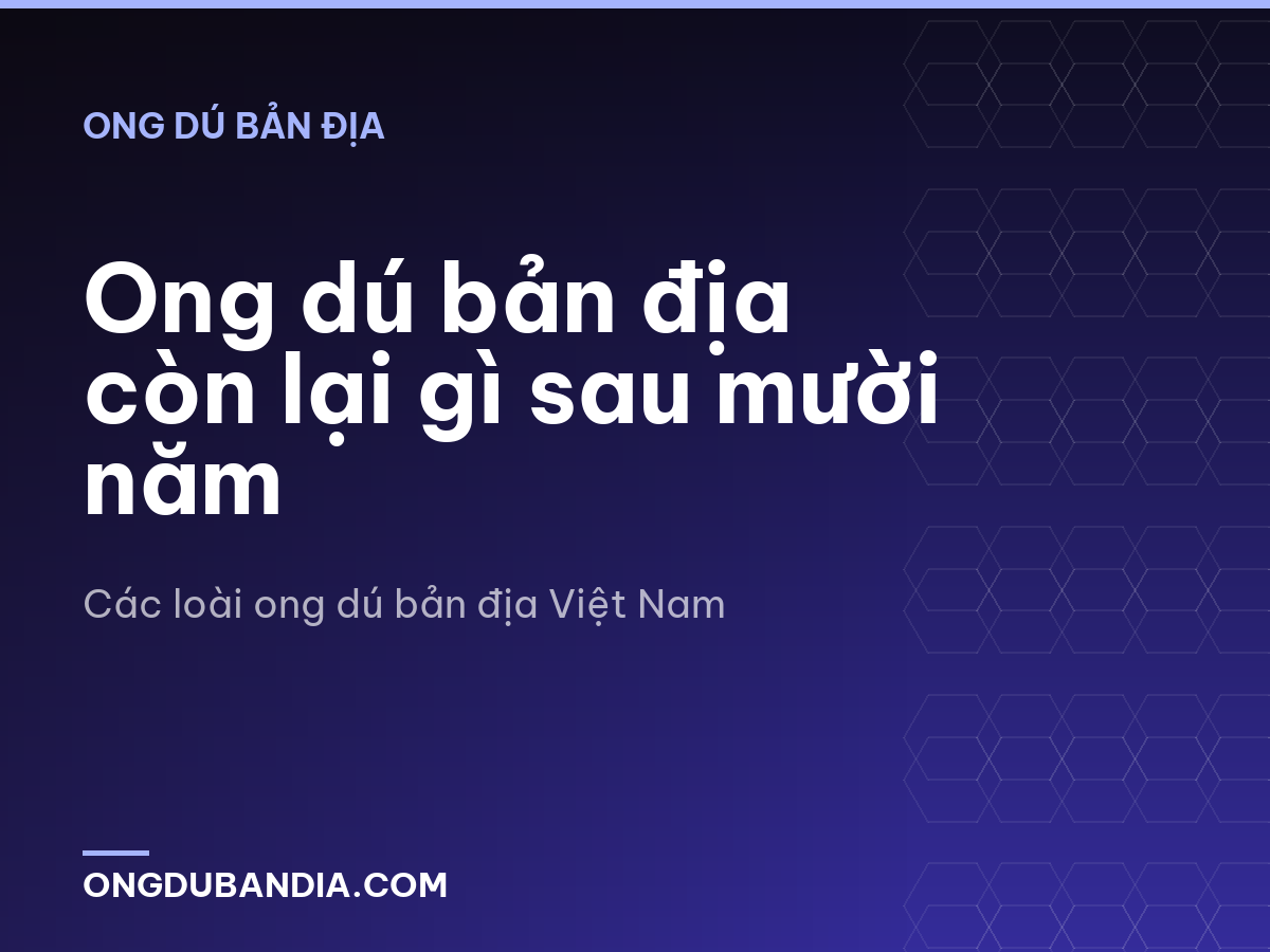 Ong dú bản địa còn lại gì sau mười năm