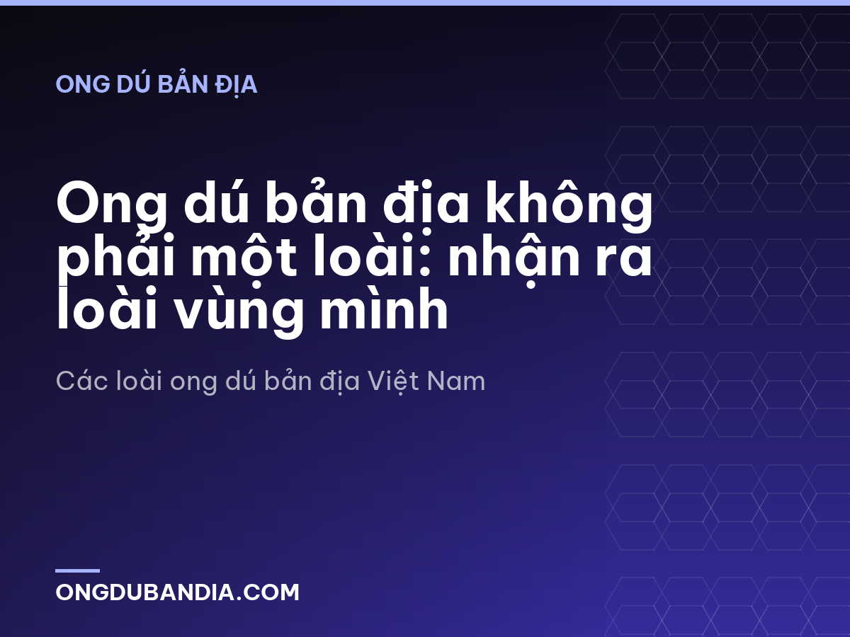 Ong dú bản địa không phải một loài: nhận ra loài vùng mình