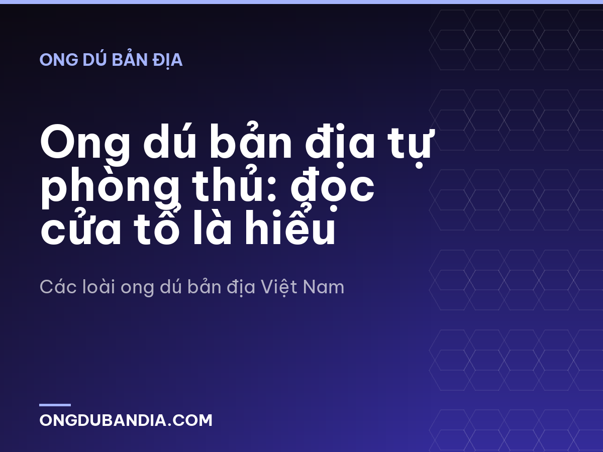 Ong dú bản địa tự phòng thủ: đọc cửa tổ là hiểu