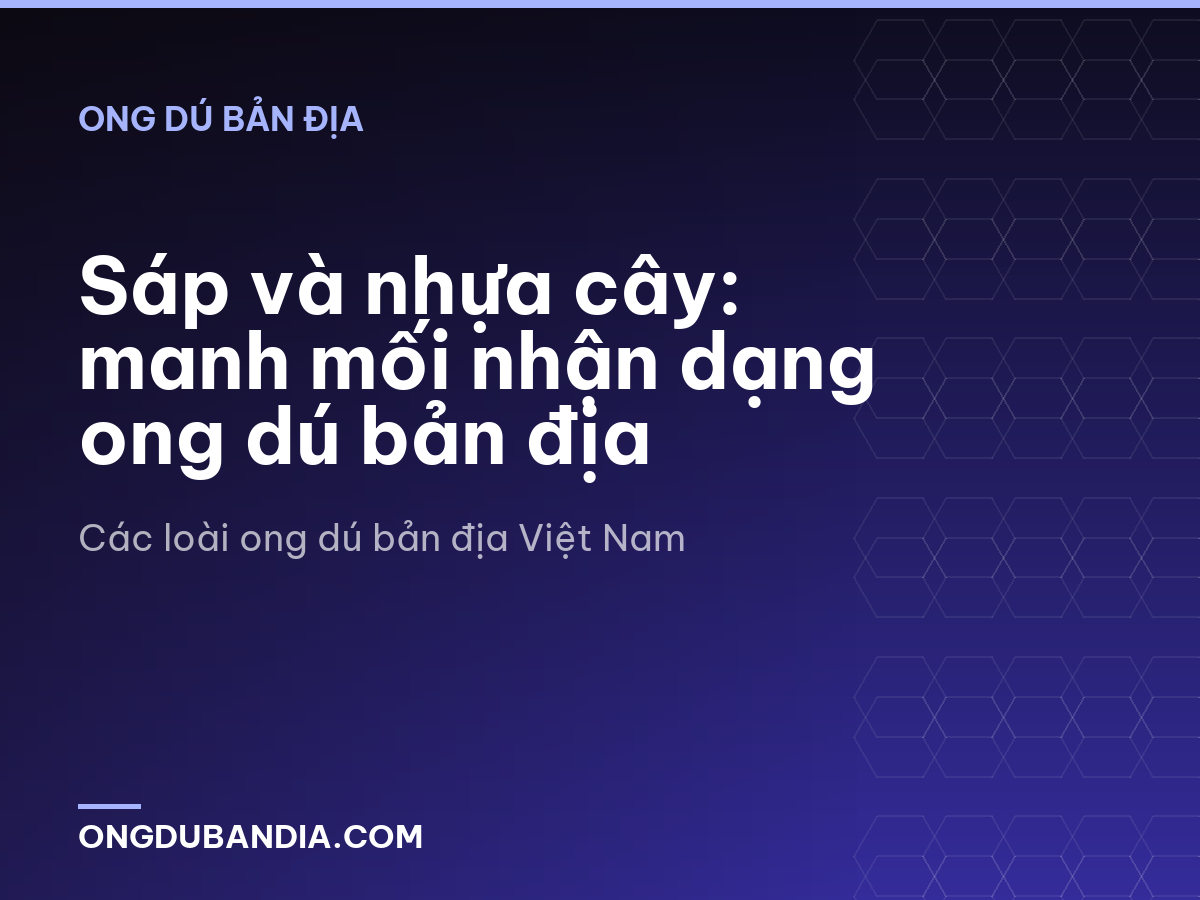 Sáp và nhựa cây: manh mối nhận dạng ong dú bản địa