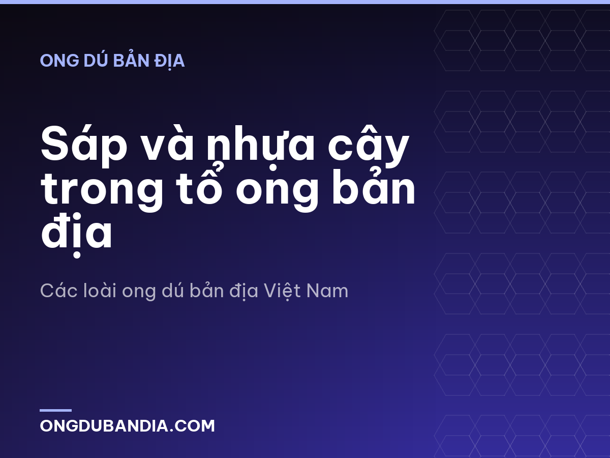 Sáp và nhựa cây trong tổ ong bản địa