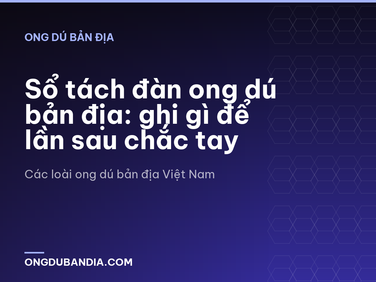 Sổ tách đàn ong dú bản địa: ghi gì để lần sau chắc tay